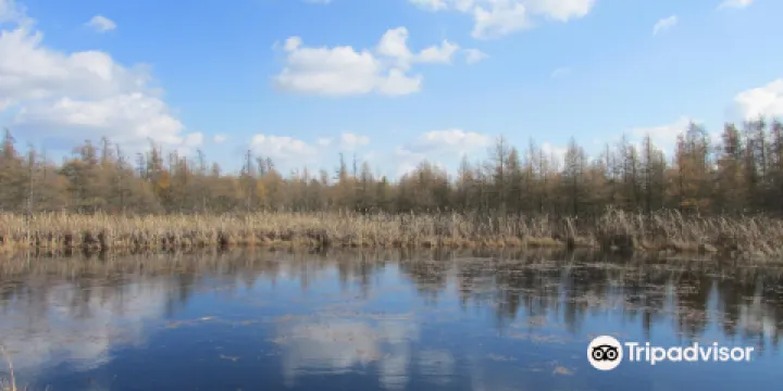 Volo Bog State Natural Area