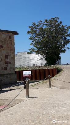 Cerro San Vicente-萨拉曼卡