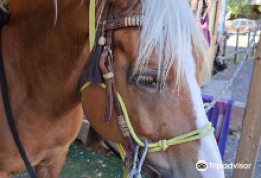 Maneggio da Gianni景点图片