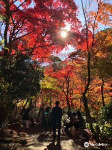 瑞宝寺公园-神户