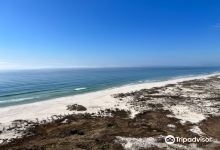 Gulf Shores Public Beach景点图片