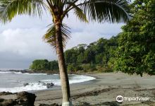 Playa Montezuma景点图片