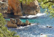 Calanque de Port d'Alon景点图片