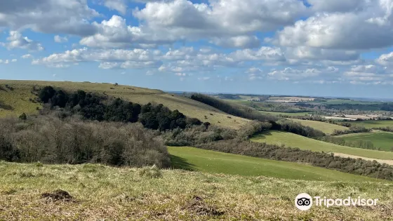 Old Winchester Hill