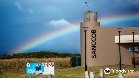 SANCCOB