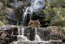 Clematis Falls景点图片