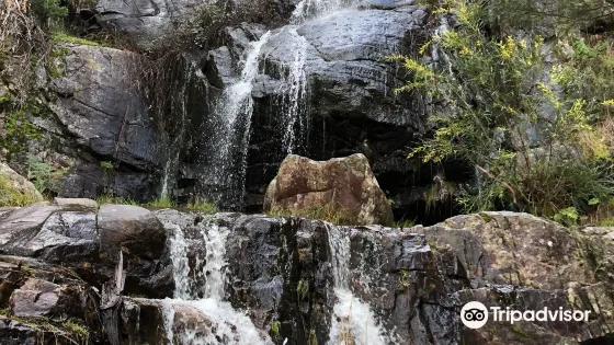 Clematis Falls