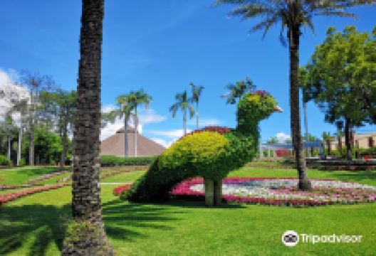 Jardines de Mexico景点图片