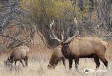 Charles M Russell National Wildlife Refuge景点图片