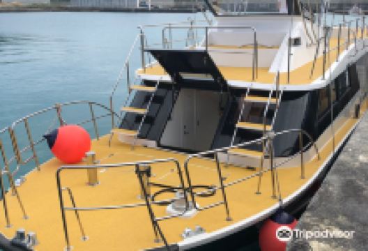 Dive Gobies购物图片