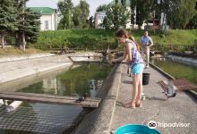 Trout Farm景点图片