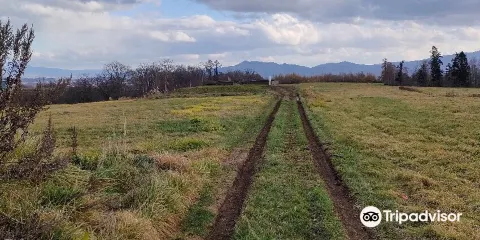 Stone Circle