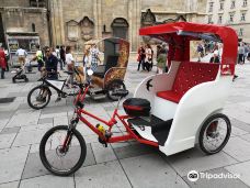 Eco Tricycle Vienna Tours-维也纳