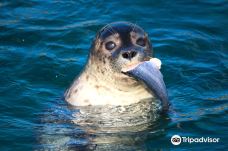 北海博物馆-希茨海尔斯