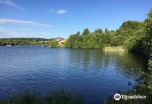Townhill Country Park景点图片