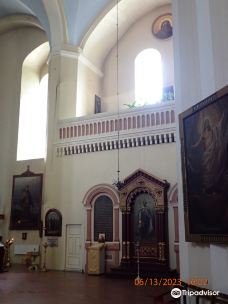 Church of the Holy Mother of God (Skaisciausios Dievo Motinos Cerkve)-维尔纽斯