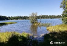 Lac de Servières Lac de Servieres景点图片