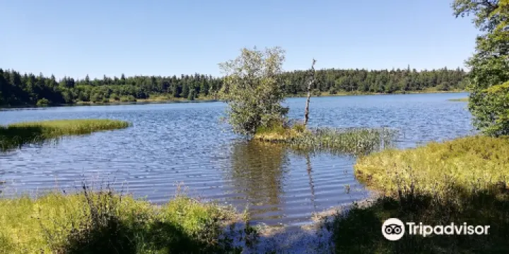 Lac de Servières Lac de Servieres