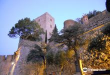Royal Castle of Collioure景点图片