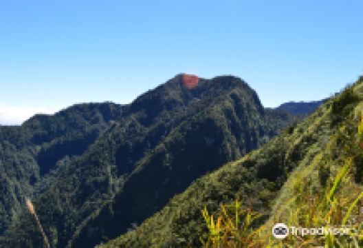 Mount Kitanglad景点图片