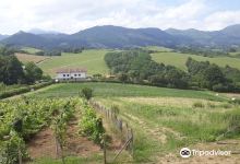 La Ferme Aux Piments景点图片