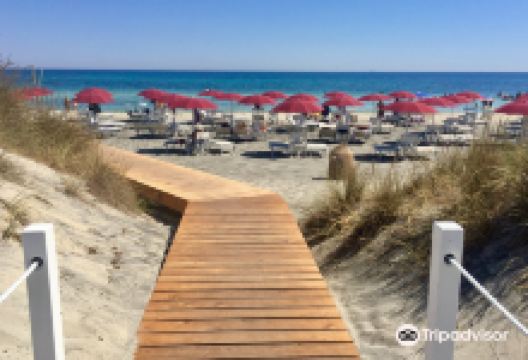 Ultima Spiaggia delle Cesine景点图片