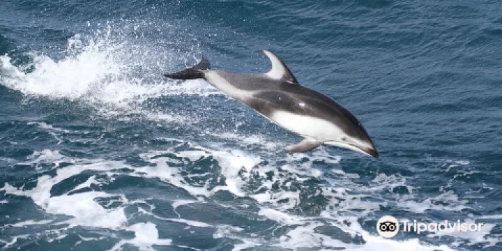 Cordell Bank National Marine Sanctuary
