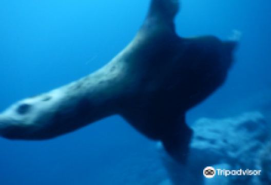 ZEMHOUSE购物图片