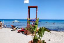 Tropical Beach景点图片