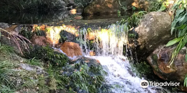 興寧市黃蜂窩茶山旅遊區