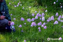 Arrocampo Resevoir景点图片