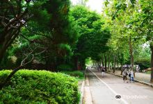波拉梅公园景点图片