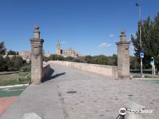 罗马古桥-萨拉曼卡