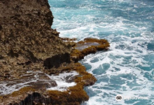 Grapefield Climbing Area景点图片