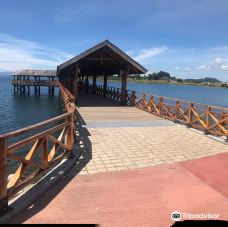 Playa Los Cisnes-兰奎休