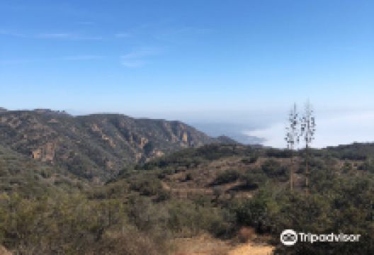 Tuna Canyon Park景点图片