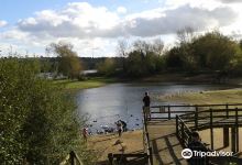 Daventry Country Park景点图片
