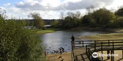 Daventry Country Park