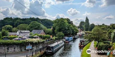 布里奇沃特運河