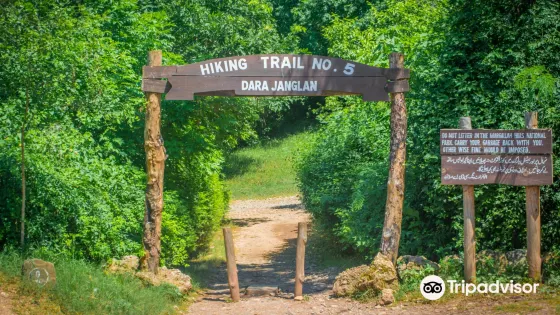 Trail 5