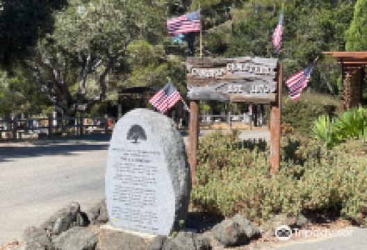 Cambria Cemetery景点图片
