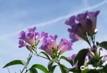 秘密花园@万达广场景点图片