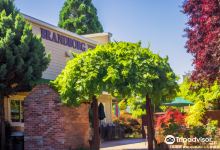 Brandborg Vineyard and Winery景点图片