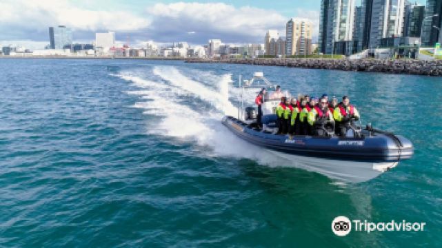 Katla Whale Watching