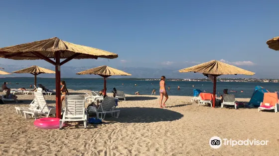 Ninska Laguna Beach