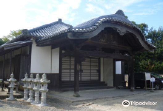金天阁景点图片