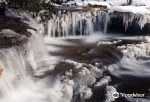 Camp Creek State Park & Forest景点图片