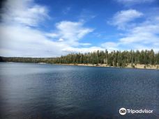 Apache-Sitgreaves National Forest-荣州市