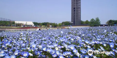 濱松花卉公園
