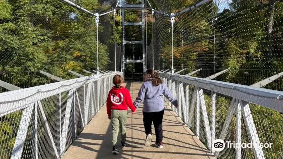 Suspension Bridge